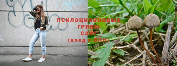 а пвп мука Туринск