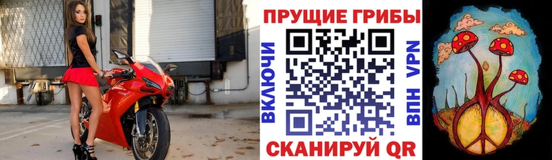 Галлюциногенные грибы Cubensis  Берёзовка 